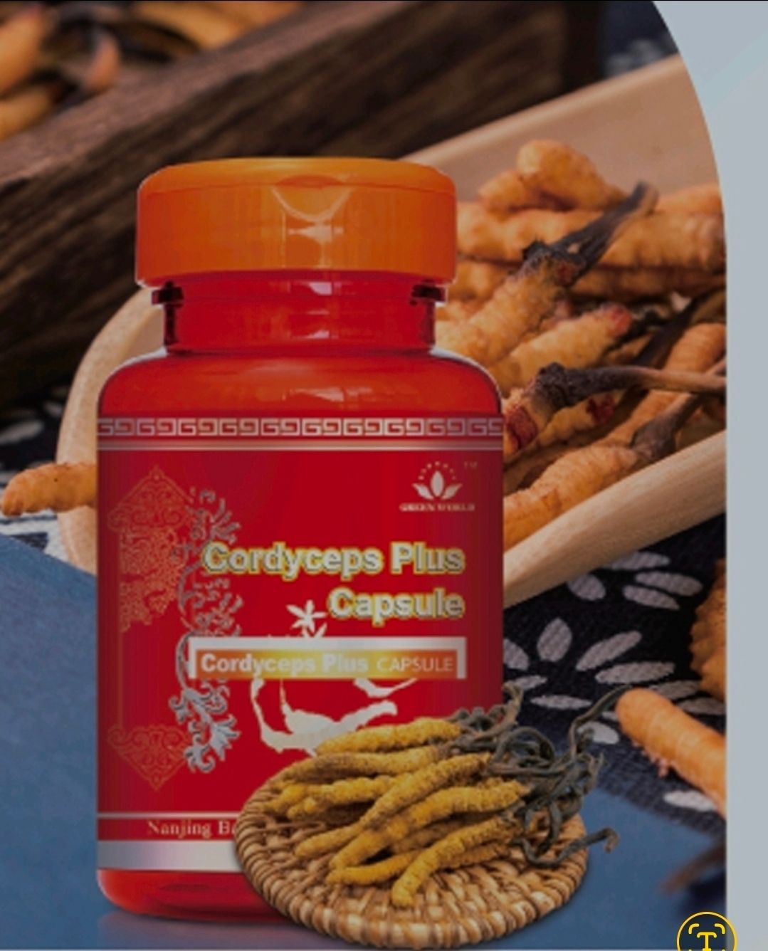 Cordyceps Plus Capsule: Anti-Cancer, Boosts Functions Of liver, lungs, and kidney.