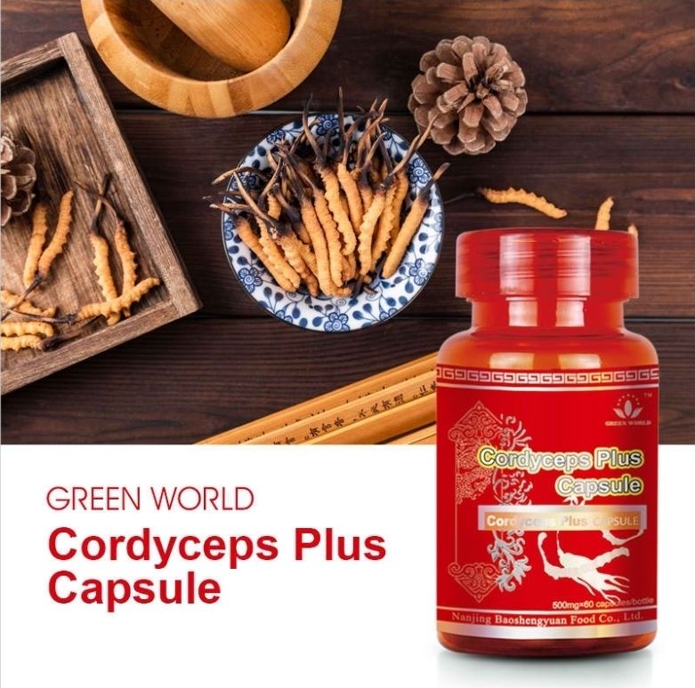 Cordyceps Plus Capsule: A Natural Boost for Energy, Immunity &amp; Vitality
