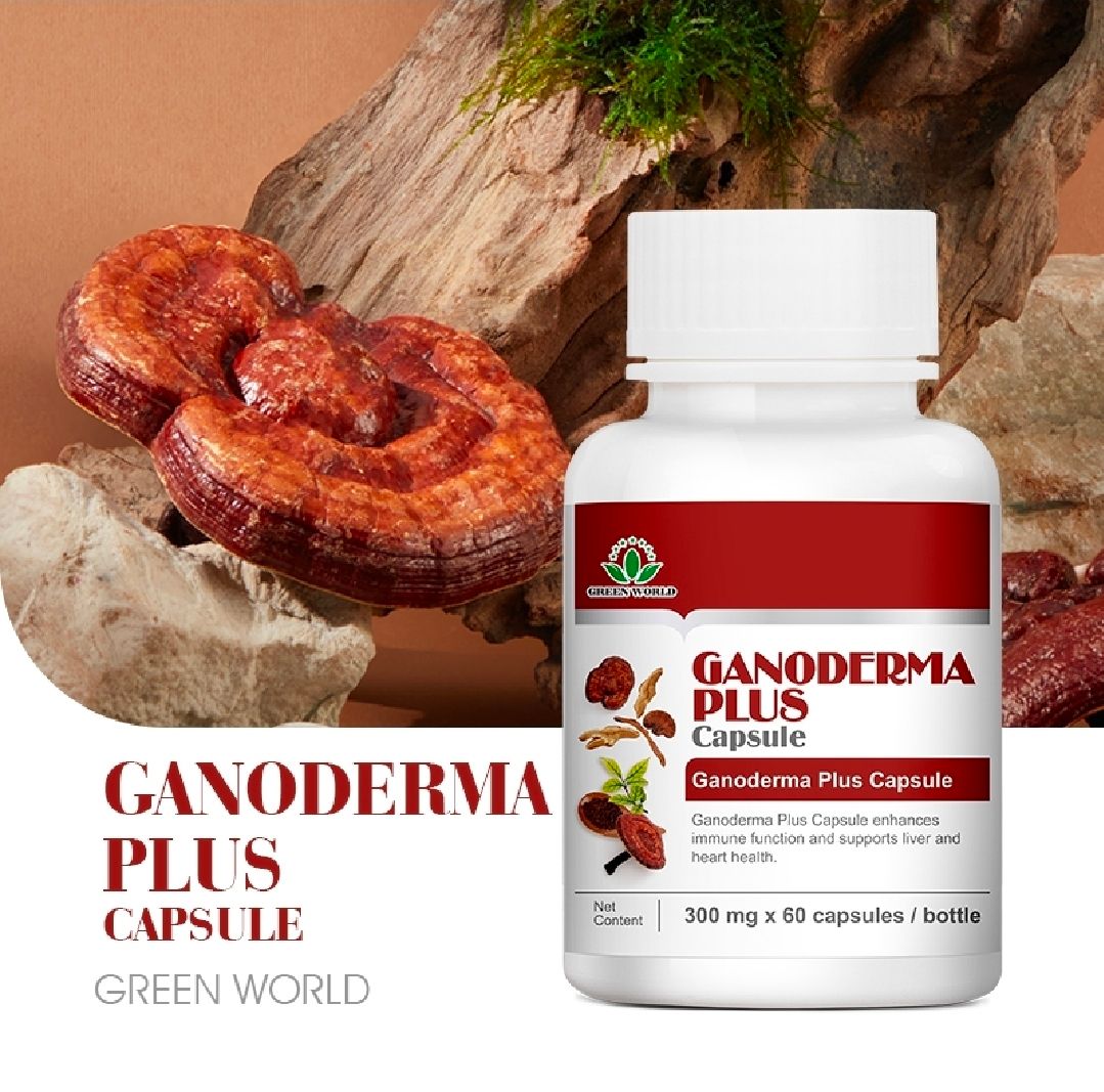 Ganoderma Plus Capsule: Treat Tumor, Asthma, and Respiratory Disorder