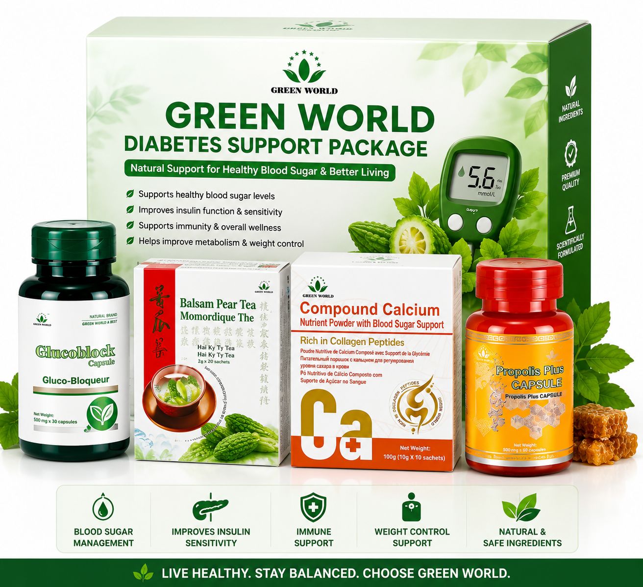 DIABETES SUPPORT PACKAGE
