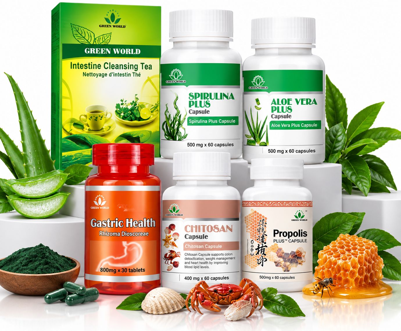 GASTRIC WELLNESS PACKAGE Complete Digestive &amp; Gut Support – 1 Month Package