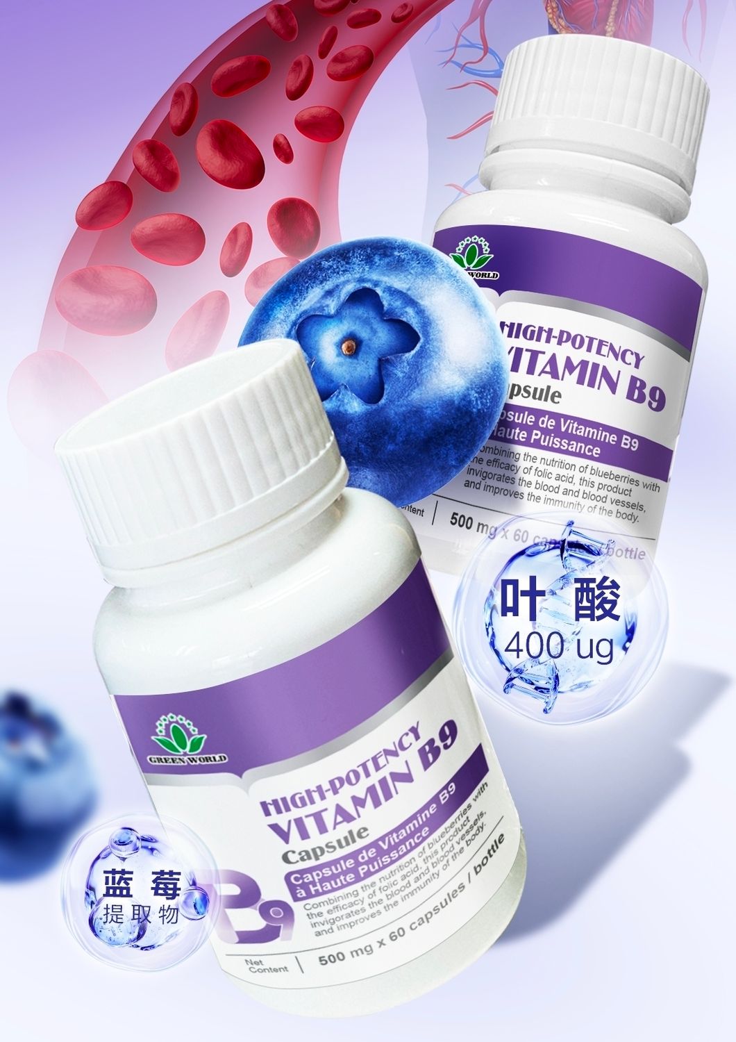 Vitamin b9(follic acid)(500 mg × 60 caps)