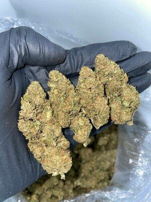 Gorilla glue