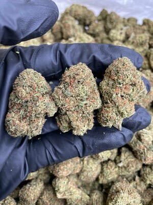 Sour OG