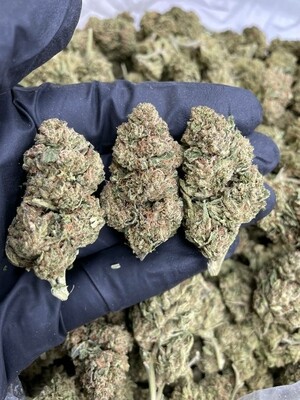 Wedding Cake 🎂