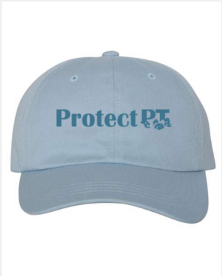 Protect PT Baby Blue Dad Hat