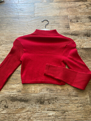  Red Hi Neck Basic Top (one size) 