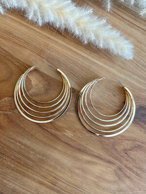 Beautiful Gold Hoops Earrings
