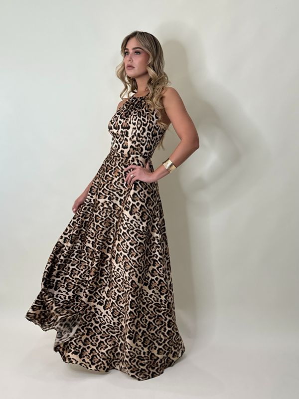 Animal Print Maxi Dress