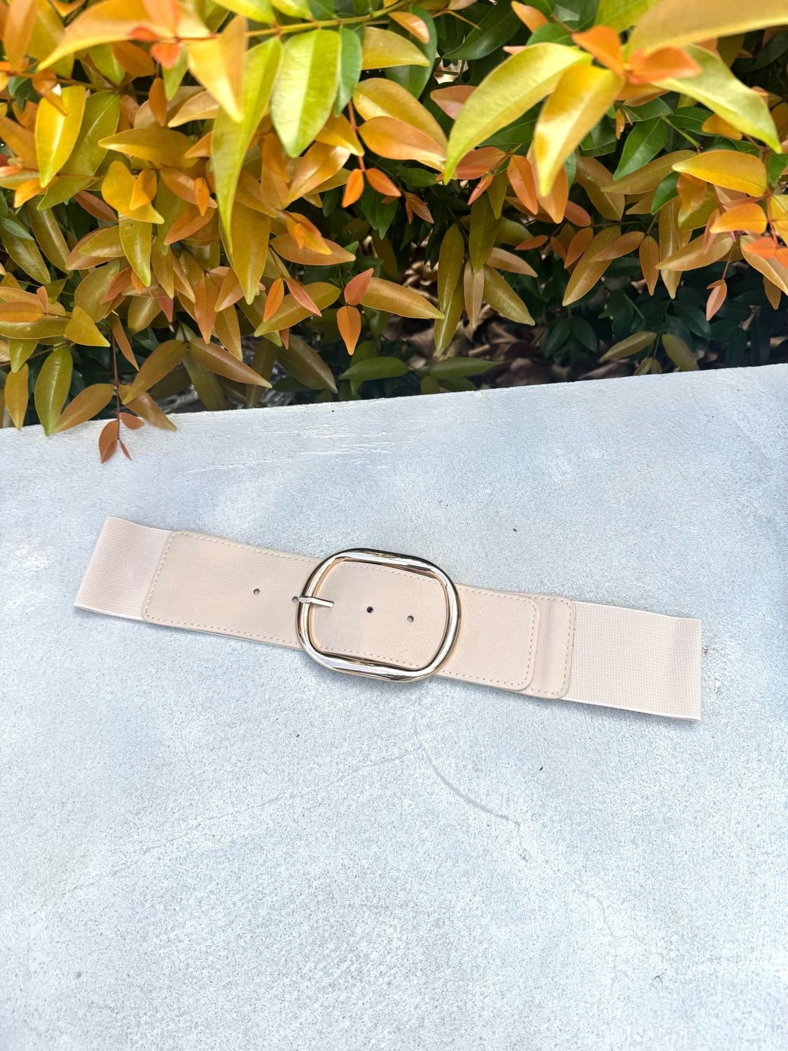 Oval Beige Gold Buckle Belt