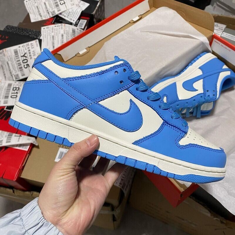 Nike Dunk Low UNC