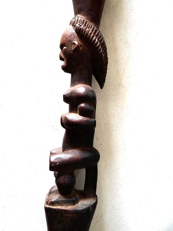 canne. Gabon