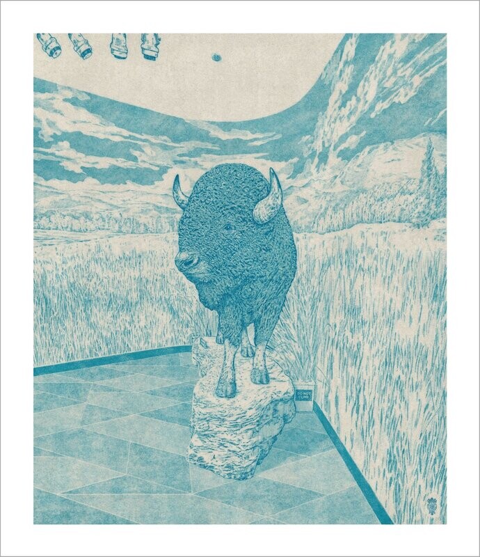 BuffaloCarpetDisplay