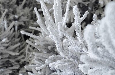 Artificial Snow