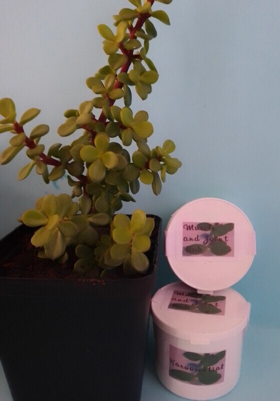 Karoosential Muscle and Joint Rub. 50ml