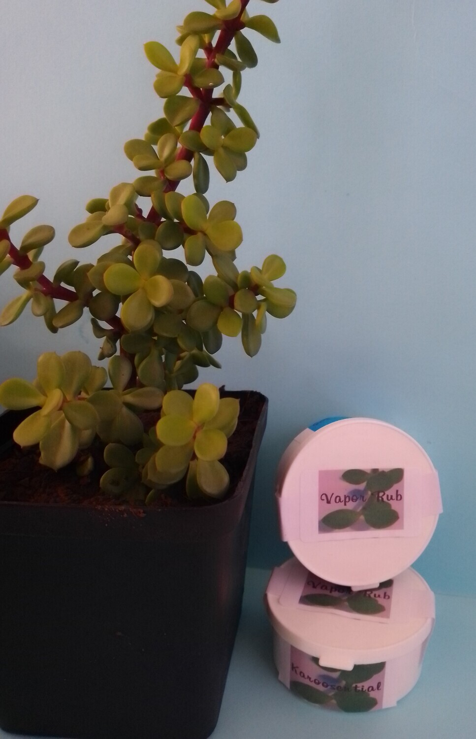 Karoosential Vapor Rub. 50ml