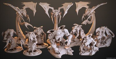 Swarm - Vanguard