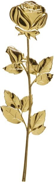 Tralcio rose in zama finitura ottone lucido