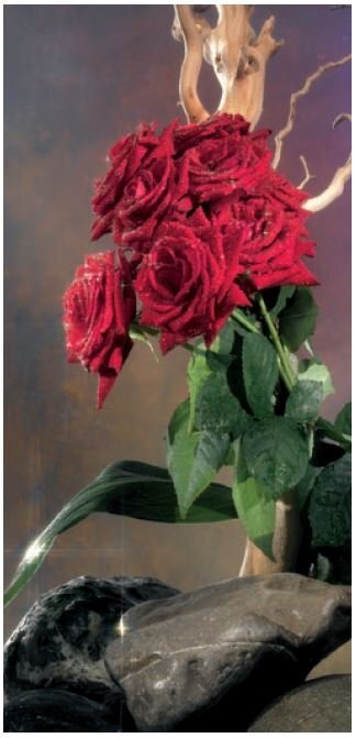 Roll-Up rose rosse