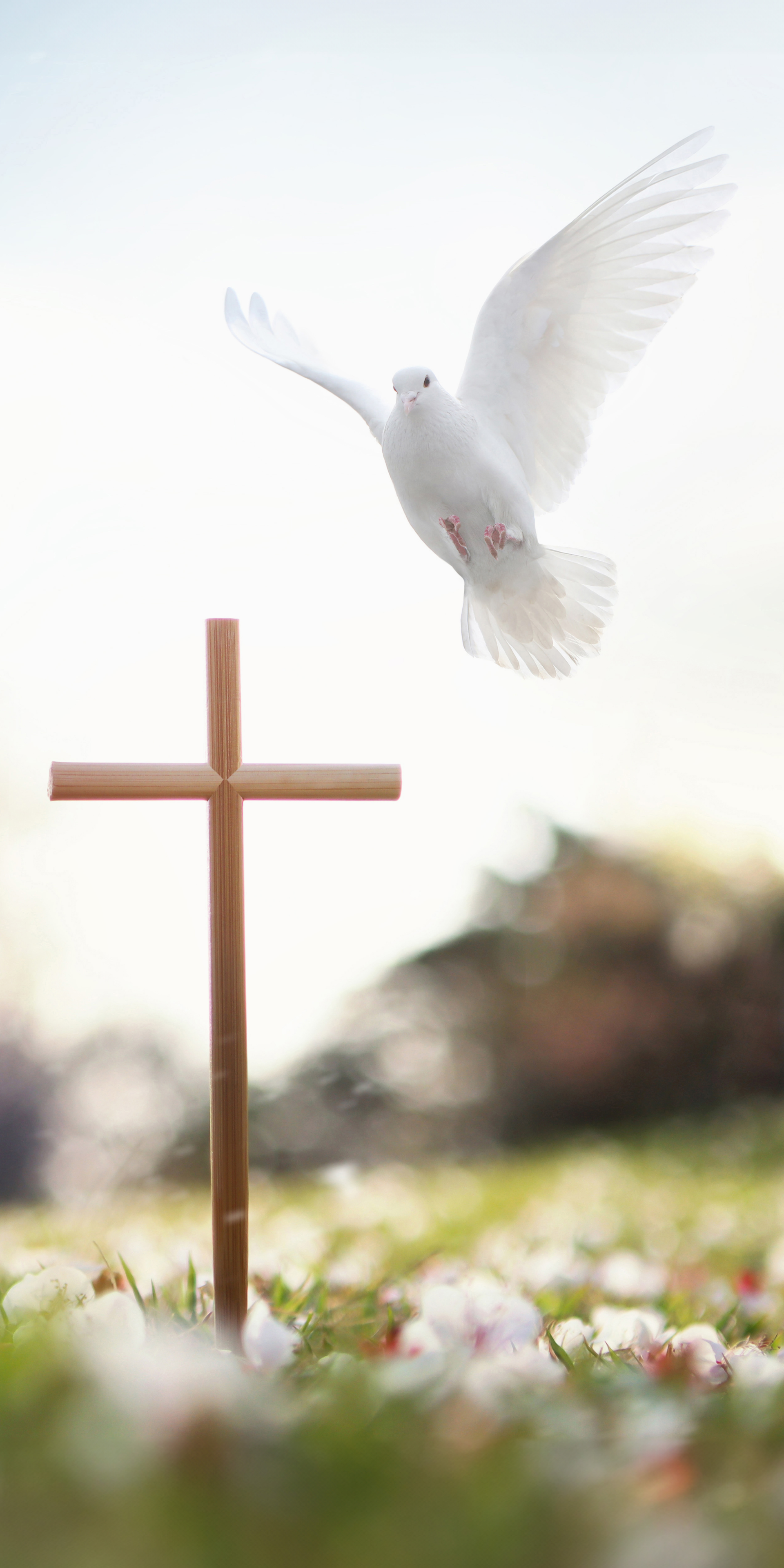 Roll-Up croce e colomba