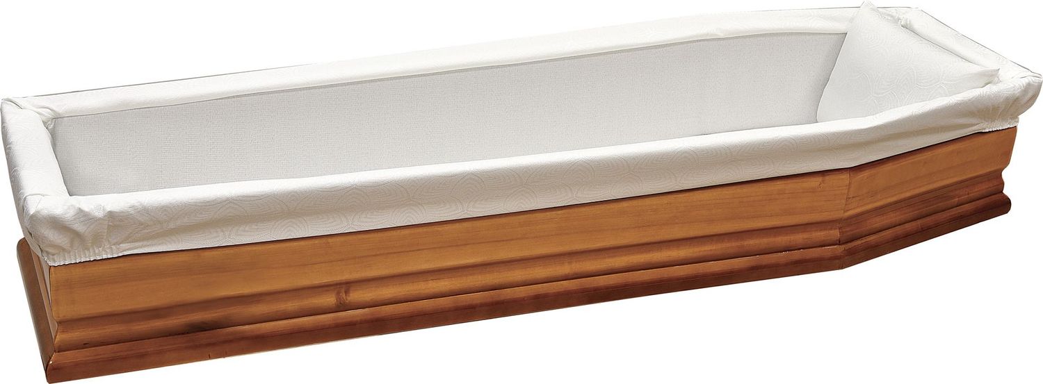 Imbottitura a cartone Perla Colore Bianco