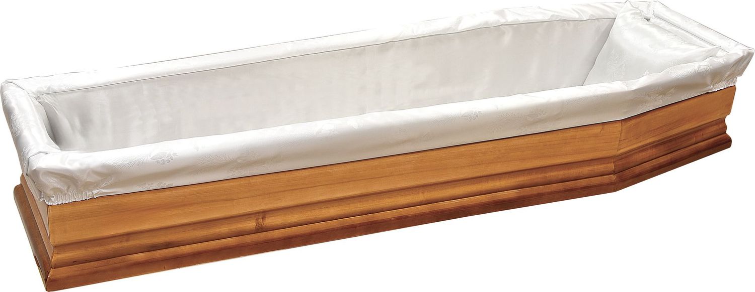Imbottitura a cartone Rubino Colore Bianco
