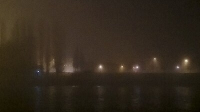 Alberi sull&#39;Adige