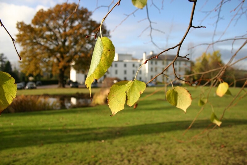 Garden Open Day - 26th October