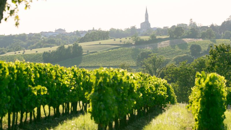 Bordeaux Gourmet Evening 19th September