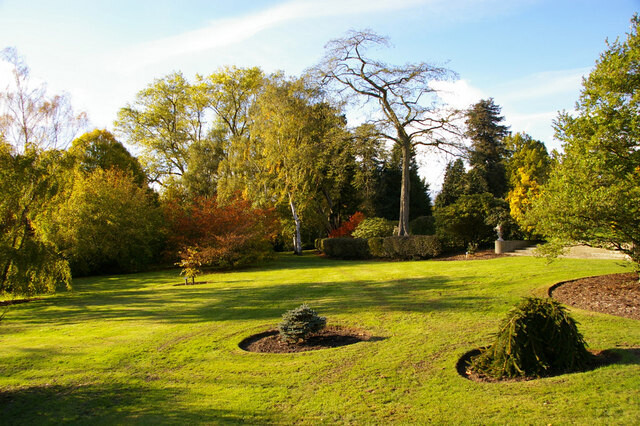Arboretum Tour and Lunch or Afternoon Tea - Autumn