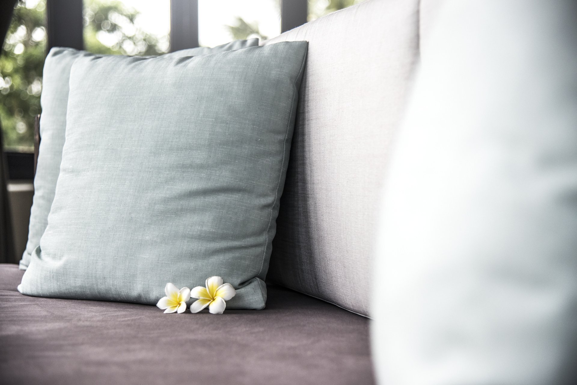 Cushion Inserts - White