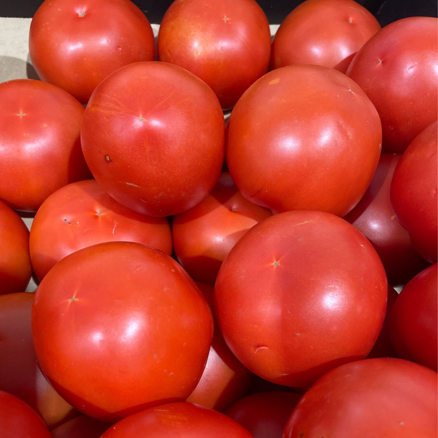 Tomato 500g