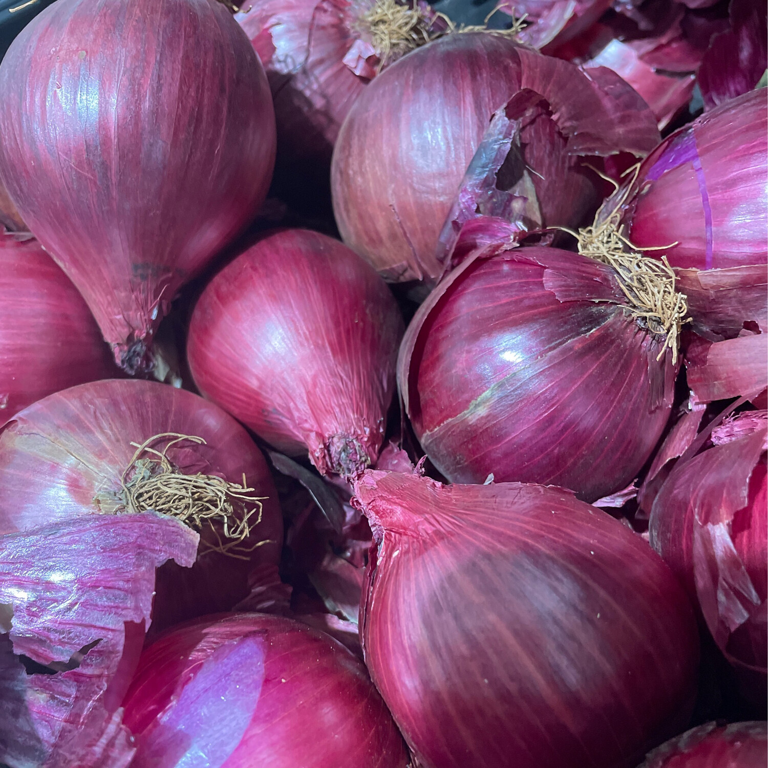 Red Onion 500g