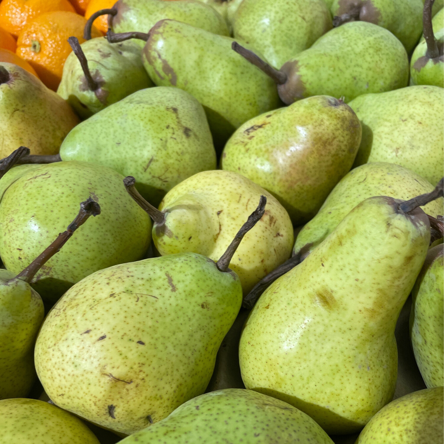 Pears Packham 500g