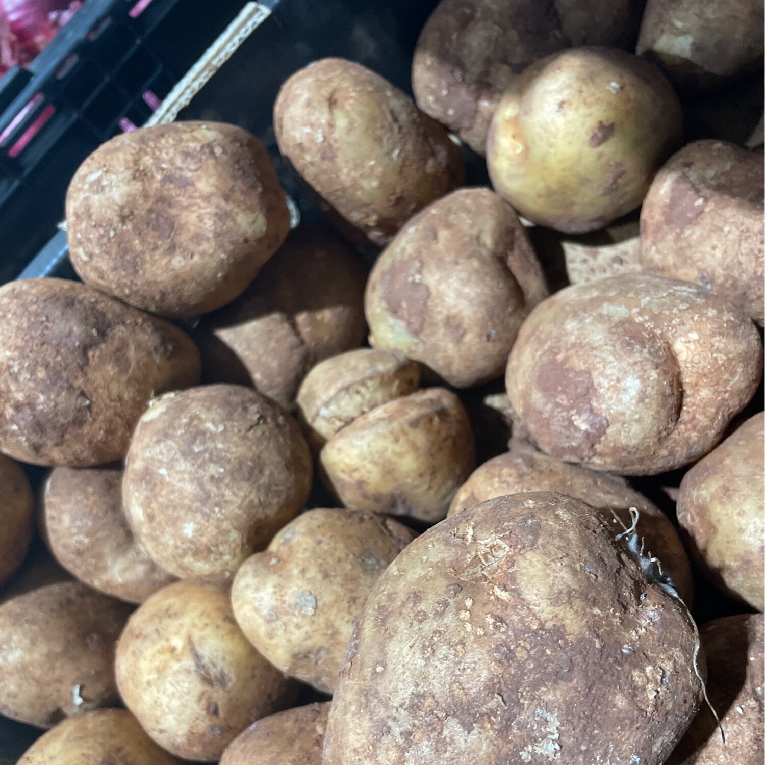 Potatoes Brushed 500g