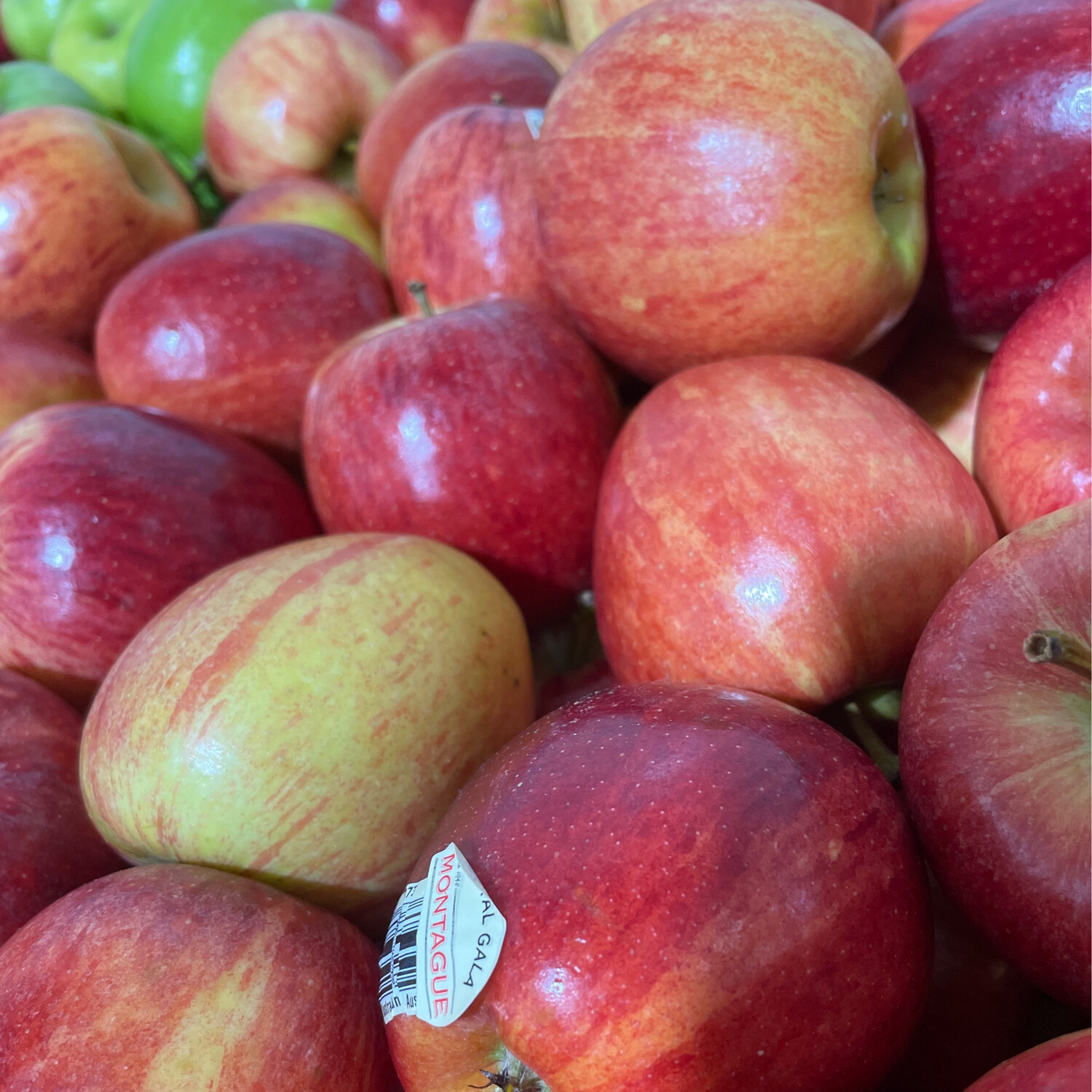 Apples Royal Gala 500g
