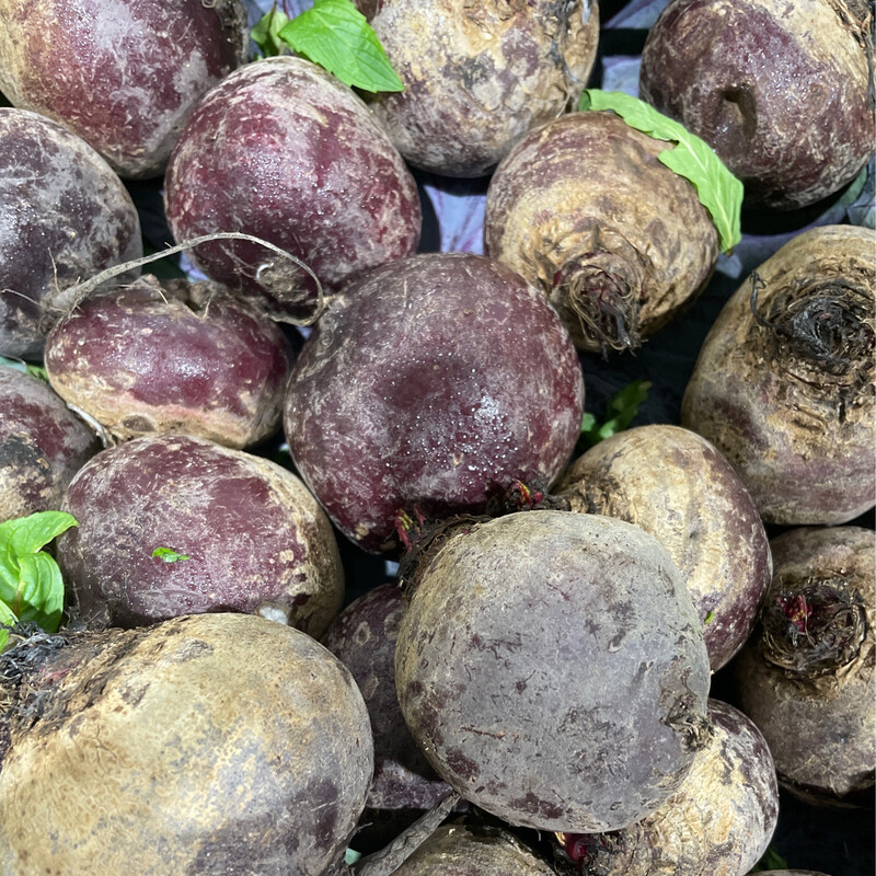 Beetroot Bunch