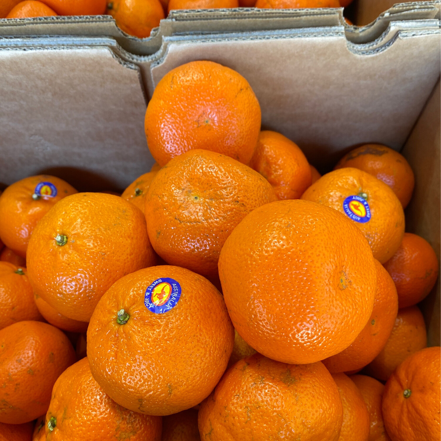 Mandarin - Afourer 500g