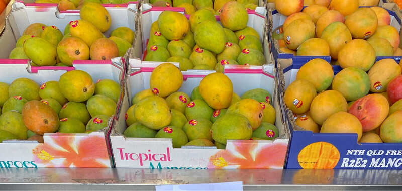 Mango - Kensington Pride