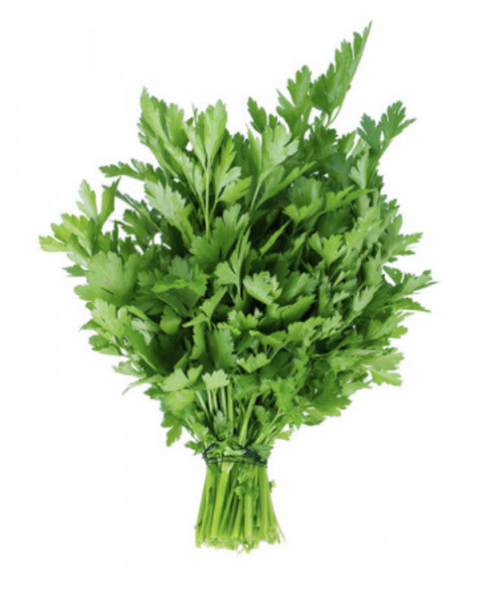 Parsley - Flat Leaf