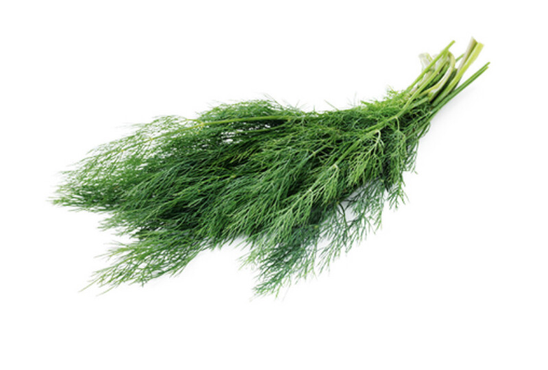 Dill