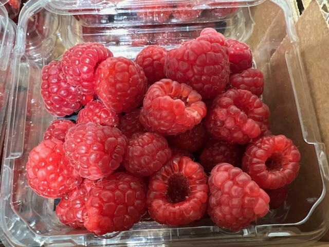 Raspberry Punnet