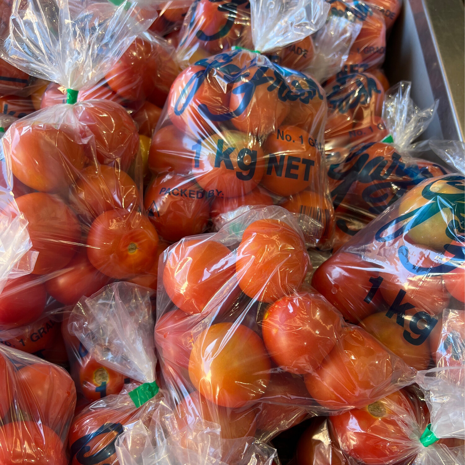 Tomato 1kg Bag