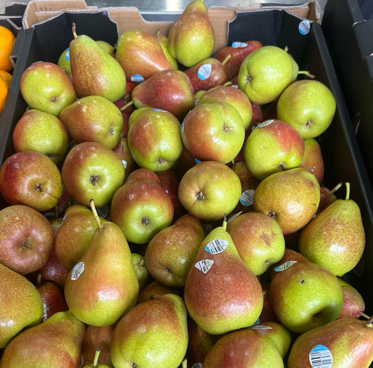 Pears Corella 500g