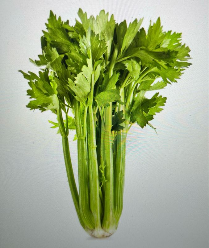 Celery