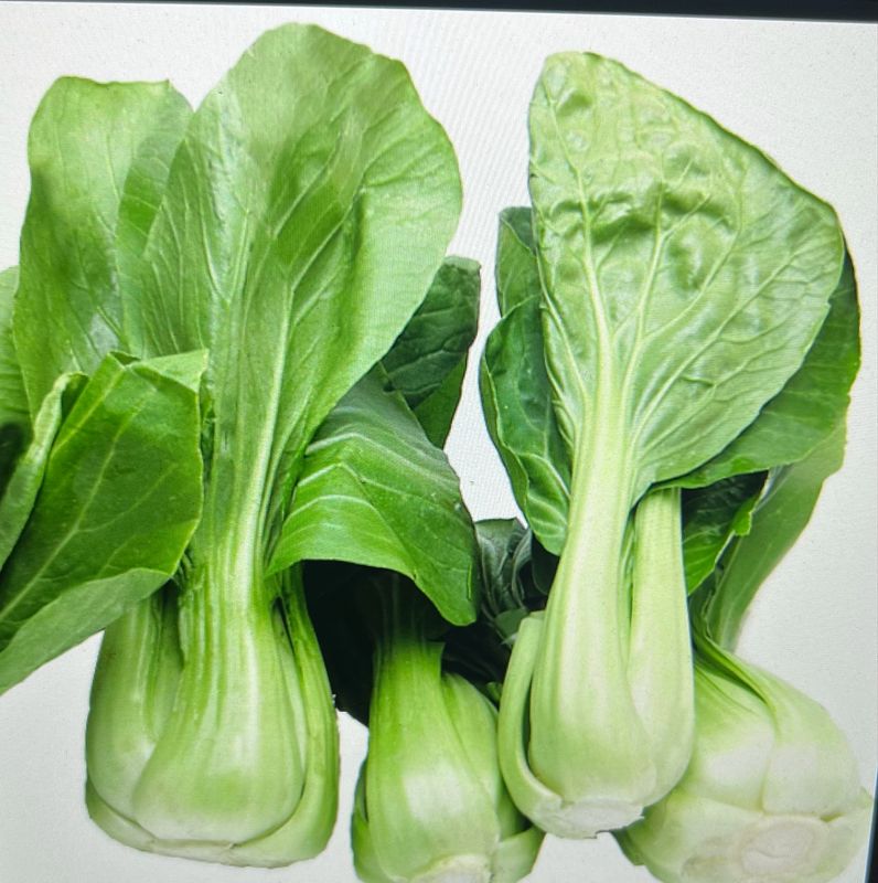 Baby Bok Choy