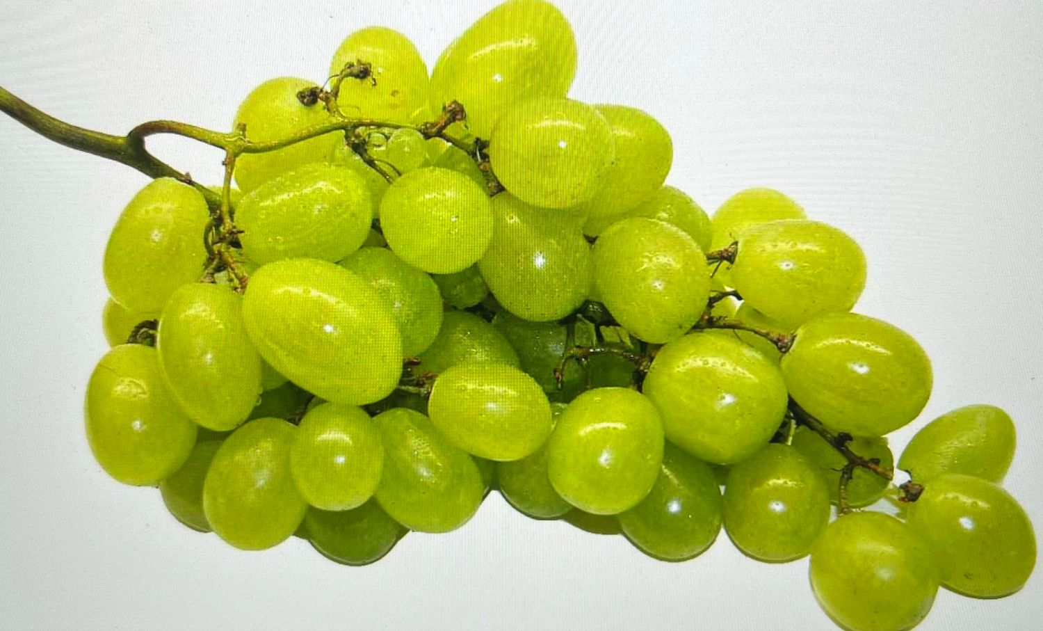 Grapes Green 500g