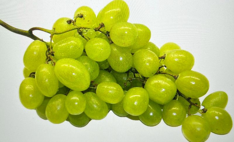 Grapes Green 500g