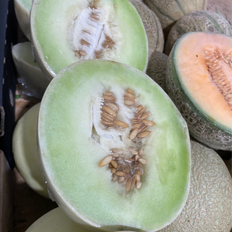 Honeydew Melon