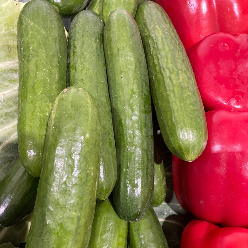 Cucumber Lebanese 500g